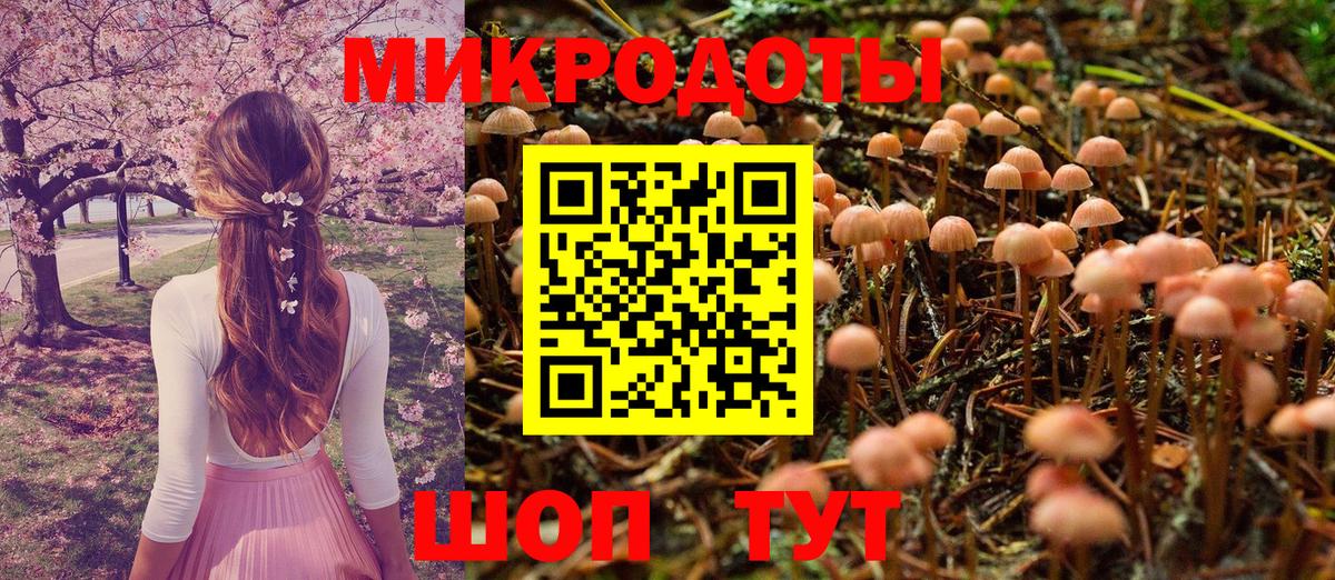 Псилоцибиновые грибы Magic Shrooms  купить наркотики цена  Балтийск  Вход с VPN 